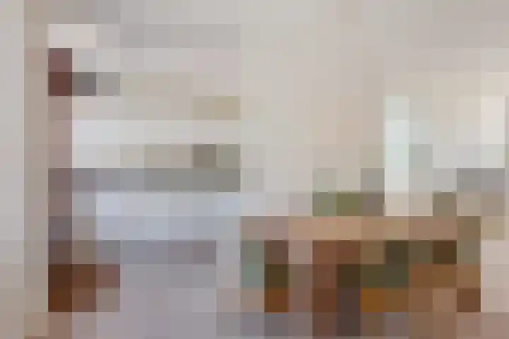 Laan der Vrijheid 31 Bergschenhoek thumbnail 9