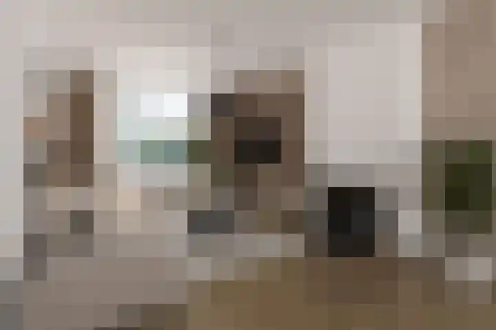 Laan der Vrijheid 37 Bergschenhoek thumbnail 10