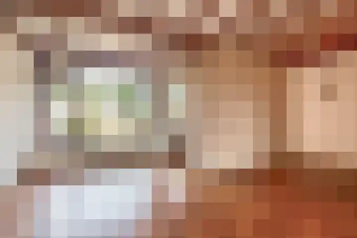 Laan der Vrijheid 37 Bergschenhoek thumbnail 15