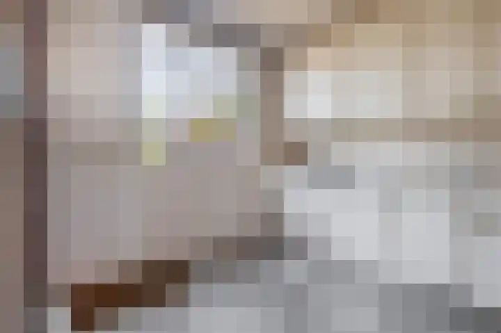 Laan der Vrijheid 37 Bergschenhoek thumbnail 17