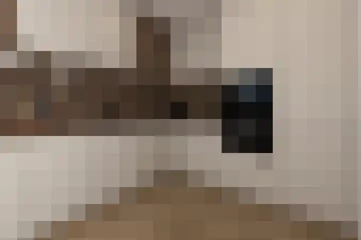 Laan der Vrijheid 37 Bergschenhoek thumbnail 19