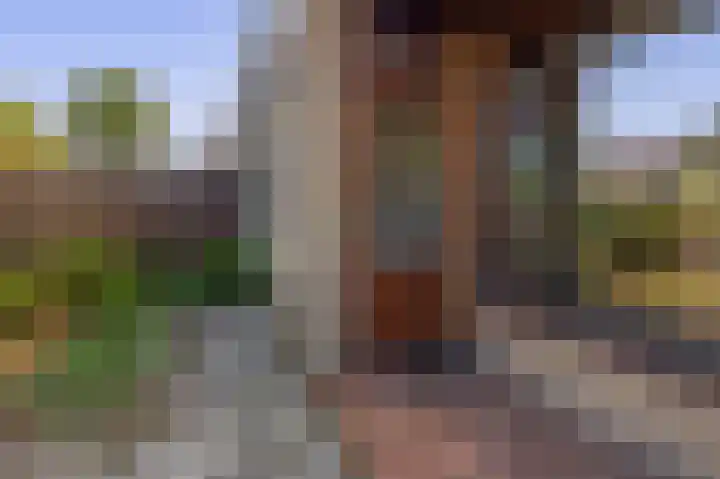Laan der Vrijheid 37 Bergschenhoek thumbnail 21