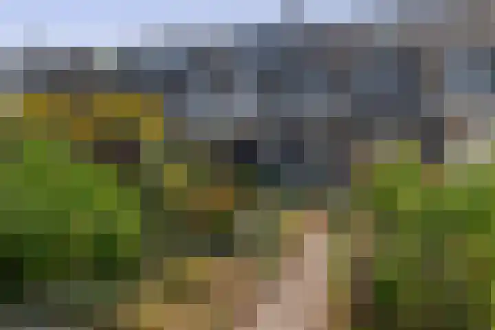 Laan der Vrijheid 37 Bergschenhoek thumbnail 22