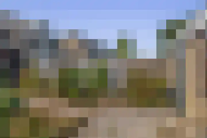 Laan der Vrijheid 37 Bergschenhoek thumbnail 23