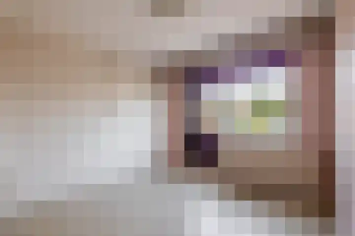 Laan der Vrijheid 37 Bergschenhoek thumbnail 25
