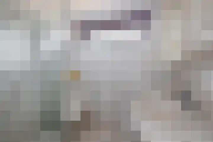 Laan der Vrijheid 37 Bergschenhoek thumbnail 28