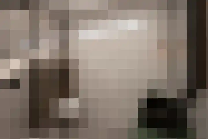 Laan der Vrijheid 37 Bergschenhoek thumbnail 29