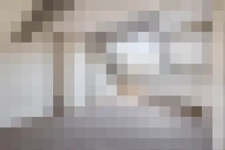 Laan der Vrijheid 37 Bergschenhoek thumbnail 35