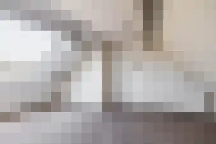 Laan der Vrijheid 37 Bergschenhoek thumbnail 36