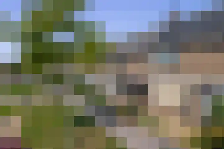 Laan der Vrijheid 37 Bergschenhoek thumbnail 4