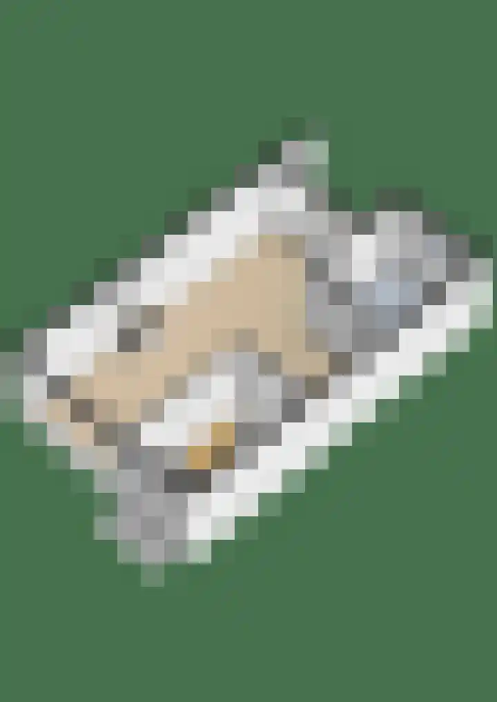 Laan der Vrijheid 37 Bergschenhoek thumbnail 47