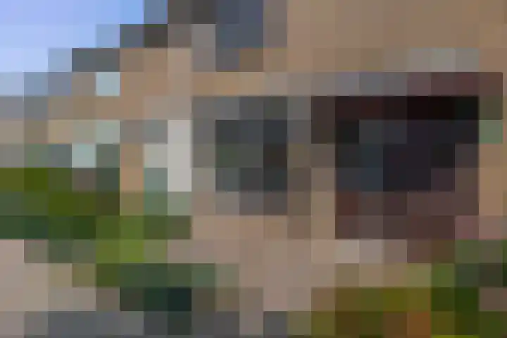 Laan der Vrijheid 37 Bergschenhoek thumbnail 7