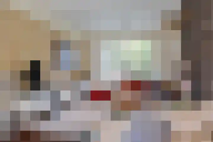 Laan der Vrijheid 9 Zaandam thumbnail 11