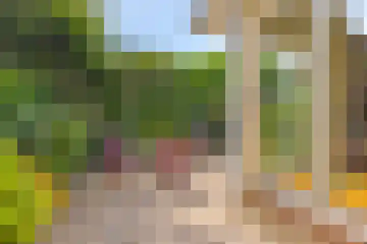 Laan der Vrijheid 9 Zaandam thumbnail 32