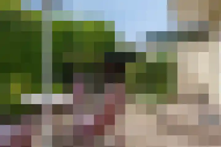 Laan der Vrijheid 9 Zaandam thumbnail 33