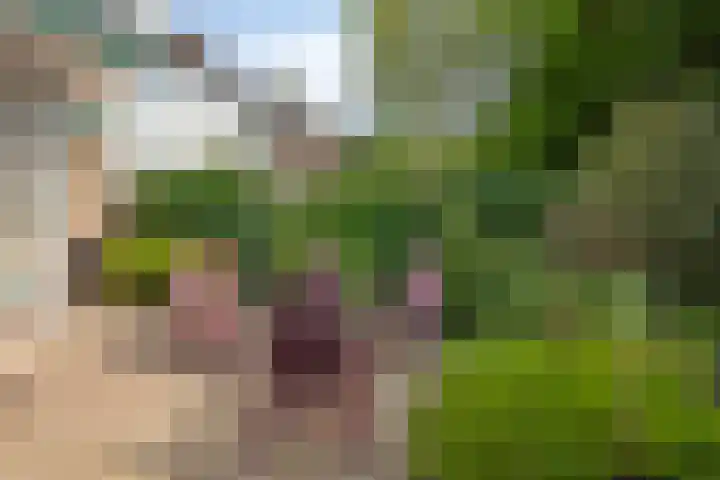 Laan der Vrijheid 9 Zaandam thumbnail 35