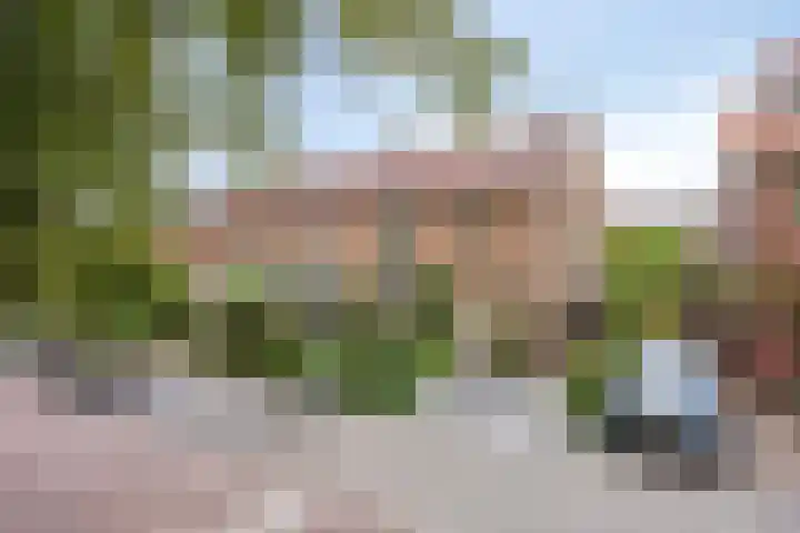 Laan der Vrijheid 9 Zaandam thumbnail 41