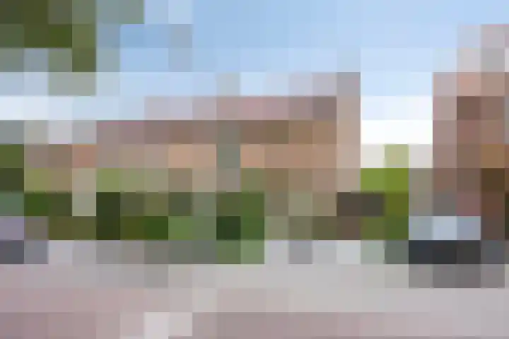 Laan der Vrijheid 9 Zaandam thumbnail 5
