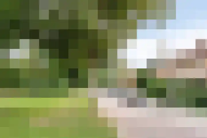 Laan der Vrijheid 9 Zaandam thumbnail 7