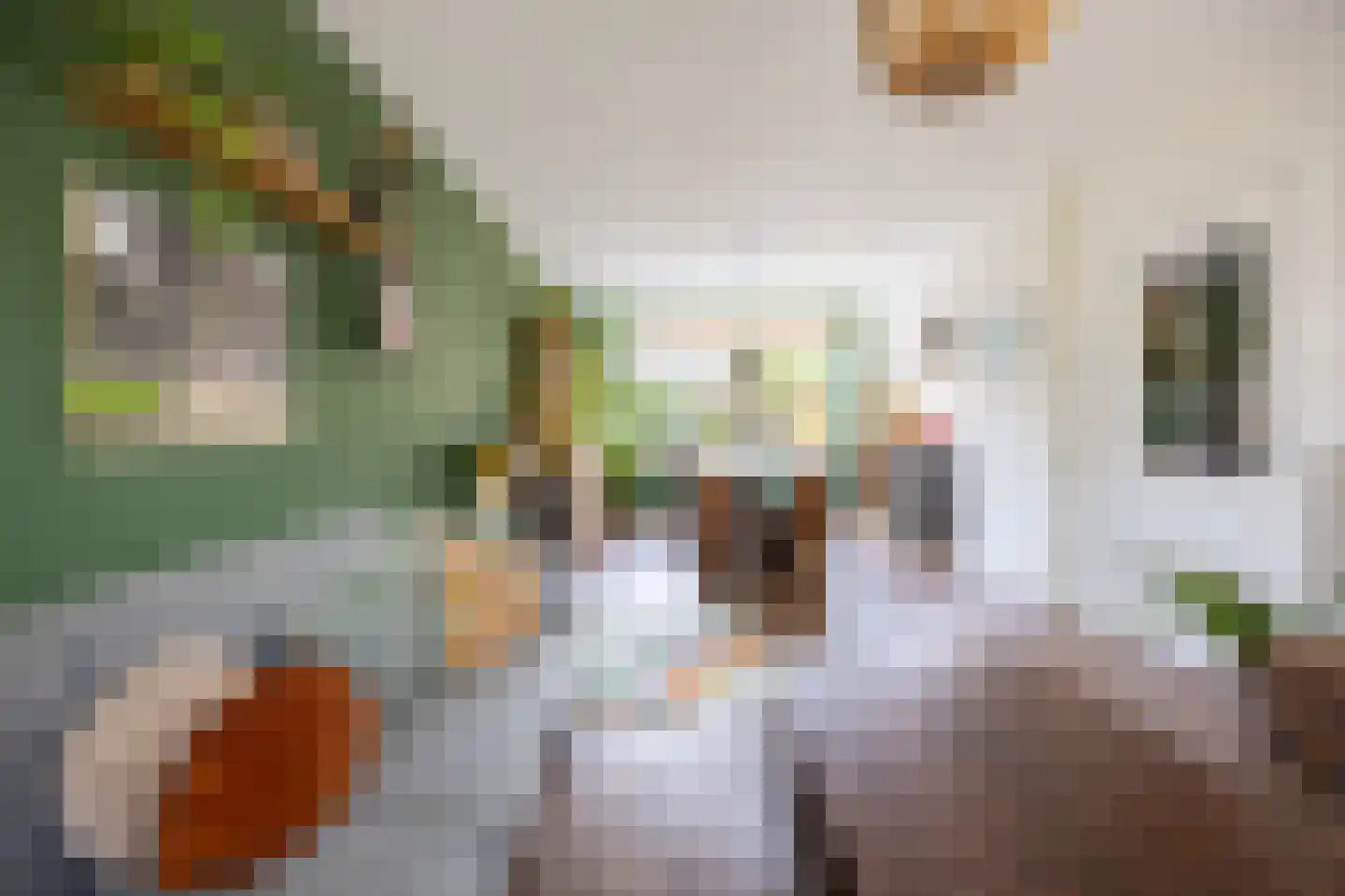 Laan der Vrijheid 92 Bergschenhoek thumbnail 12