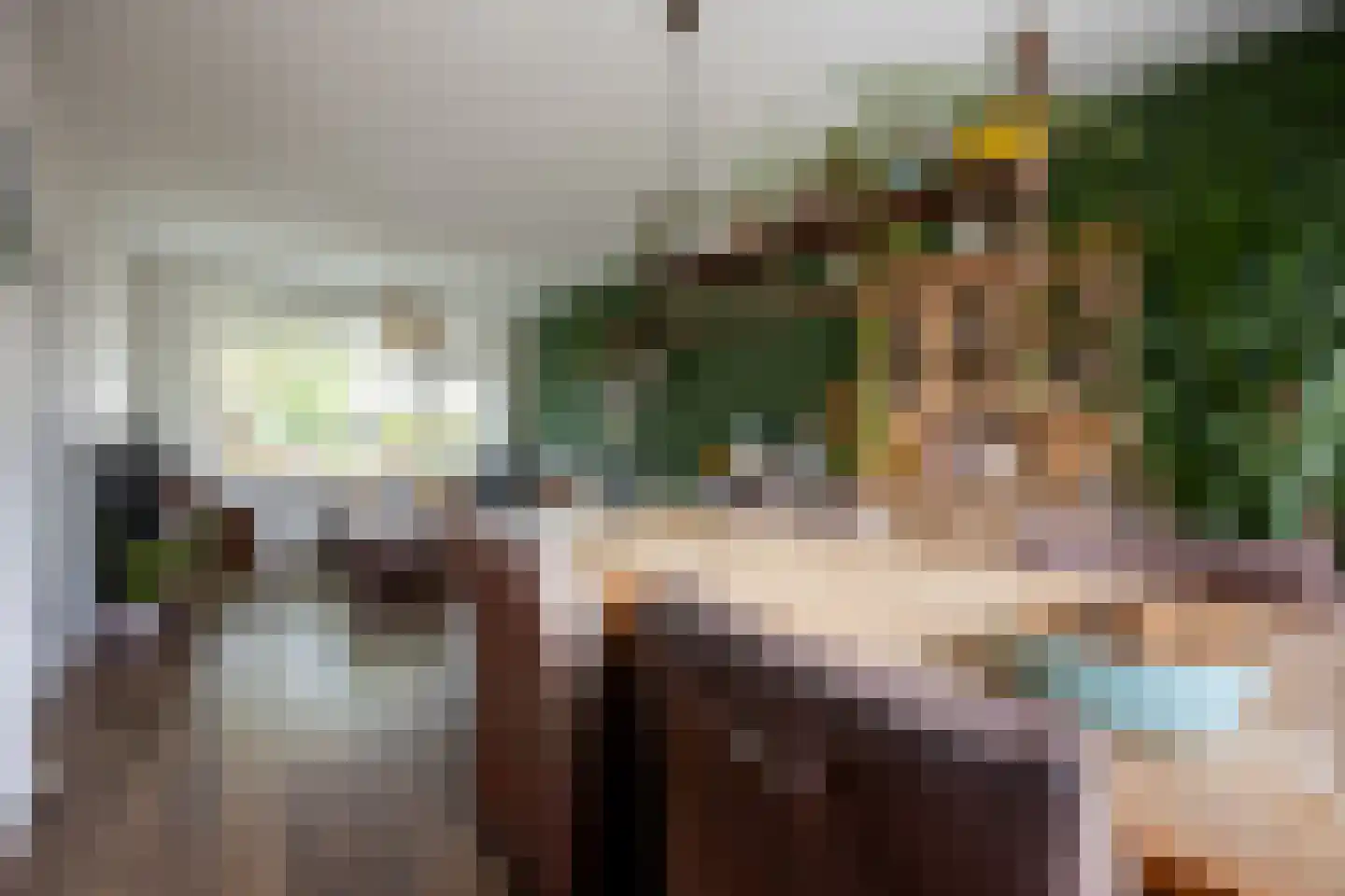 Laan der Vrijheid 92 Bergschenhoek thumbnail 16