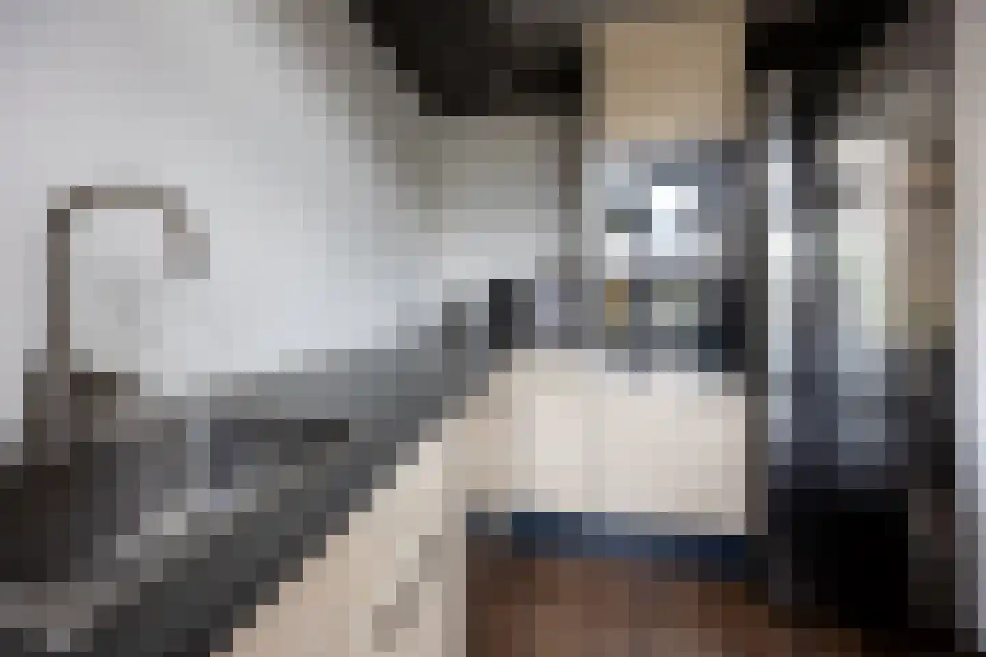 Laan der Vrijheid 92 Bergschenhoek thumbnail 19