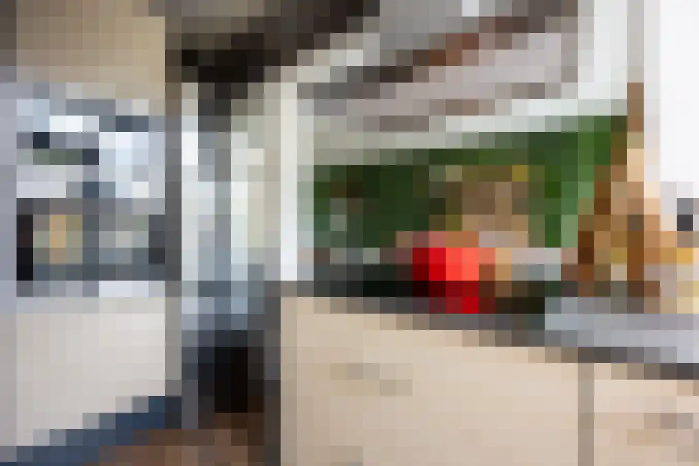 Laan der Vrijheid 92 Bergschenhoek thumbnail 20