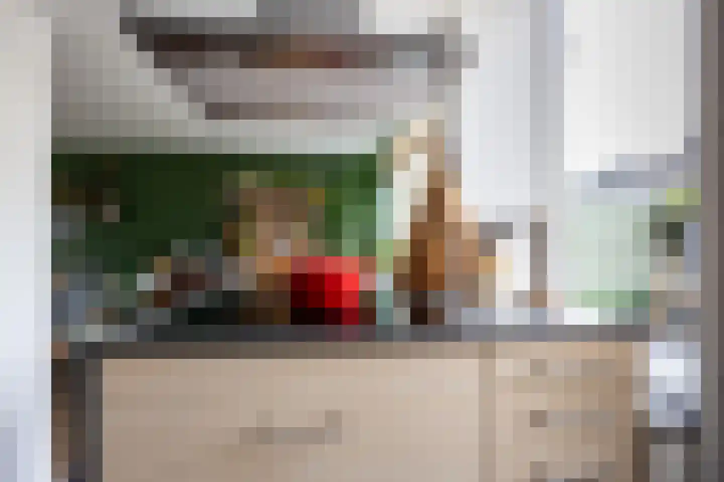 Laan der Vrijheid 92 Bergschenhoek thumbnail 22