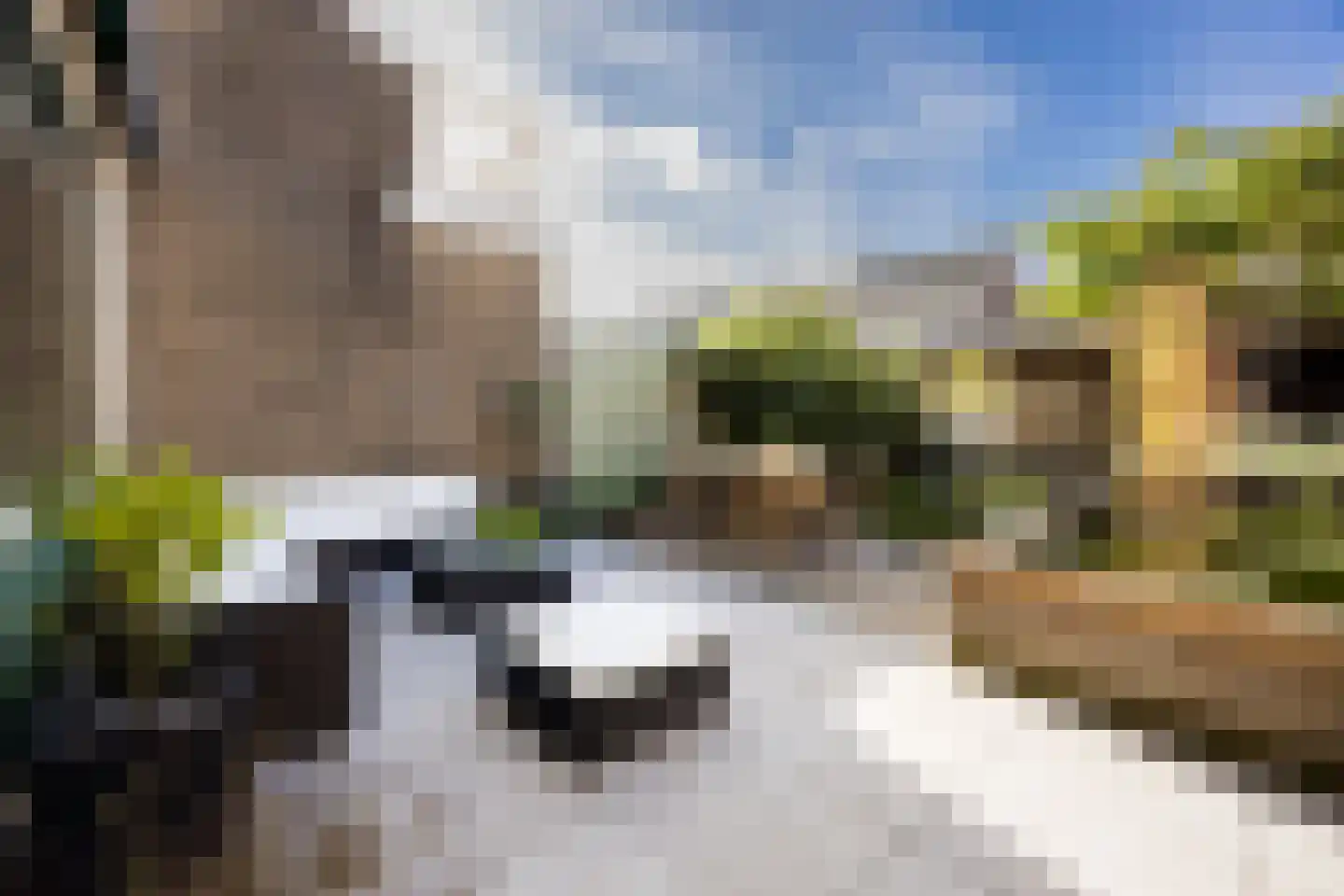 Laan der Vrijheid 92 Bergschenhoek thumbnail 23