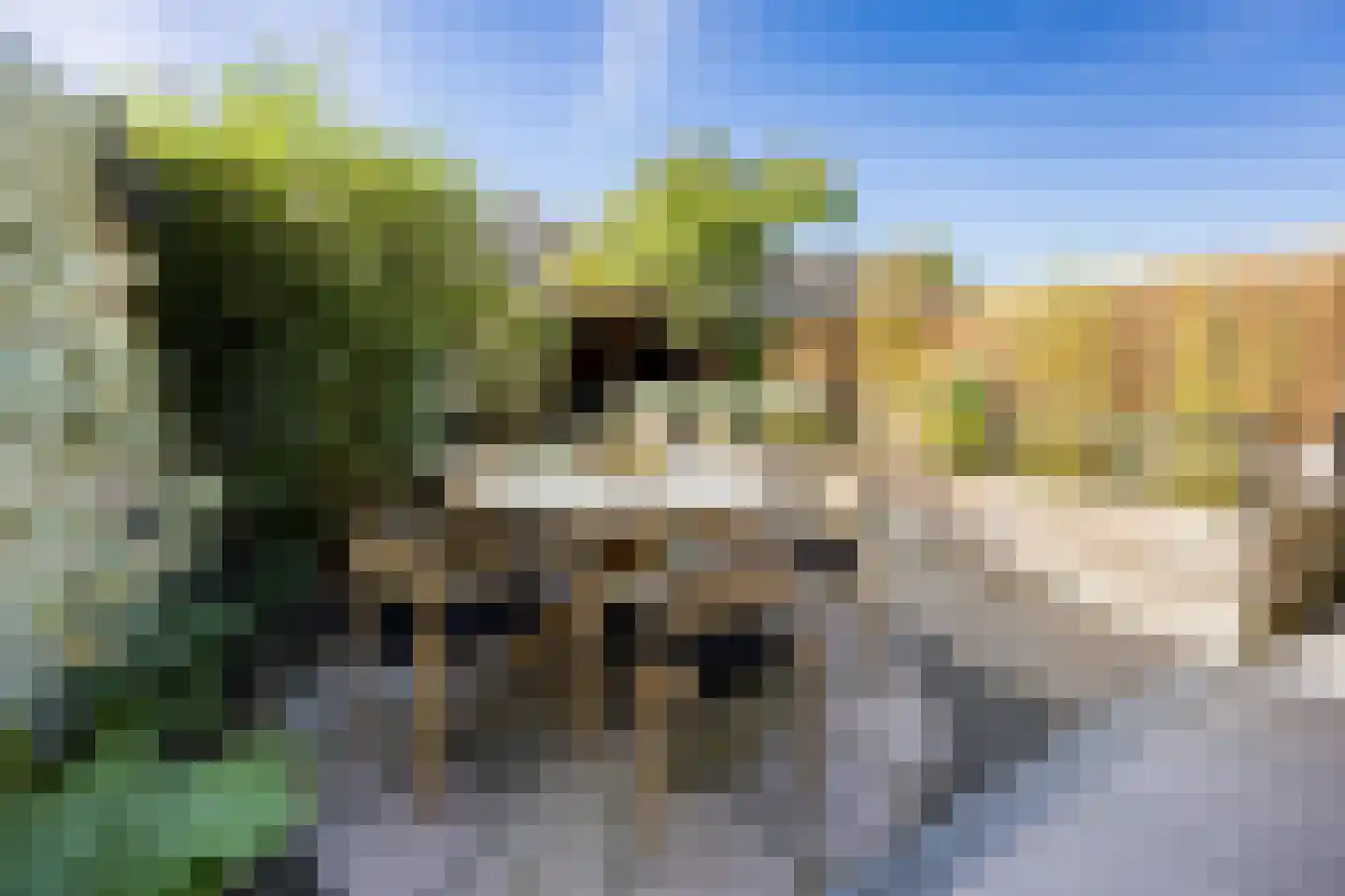 Laan der Vrijheid 92 Bergschenhoek thumbnail 26
