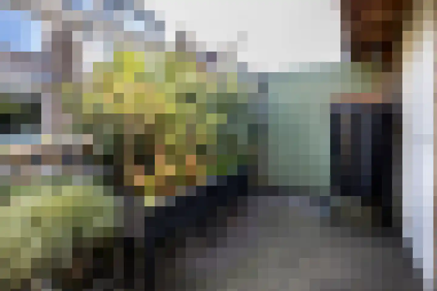 Laan der Vrijheid 92 Bergschenhoek thumbnail 27