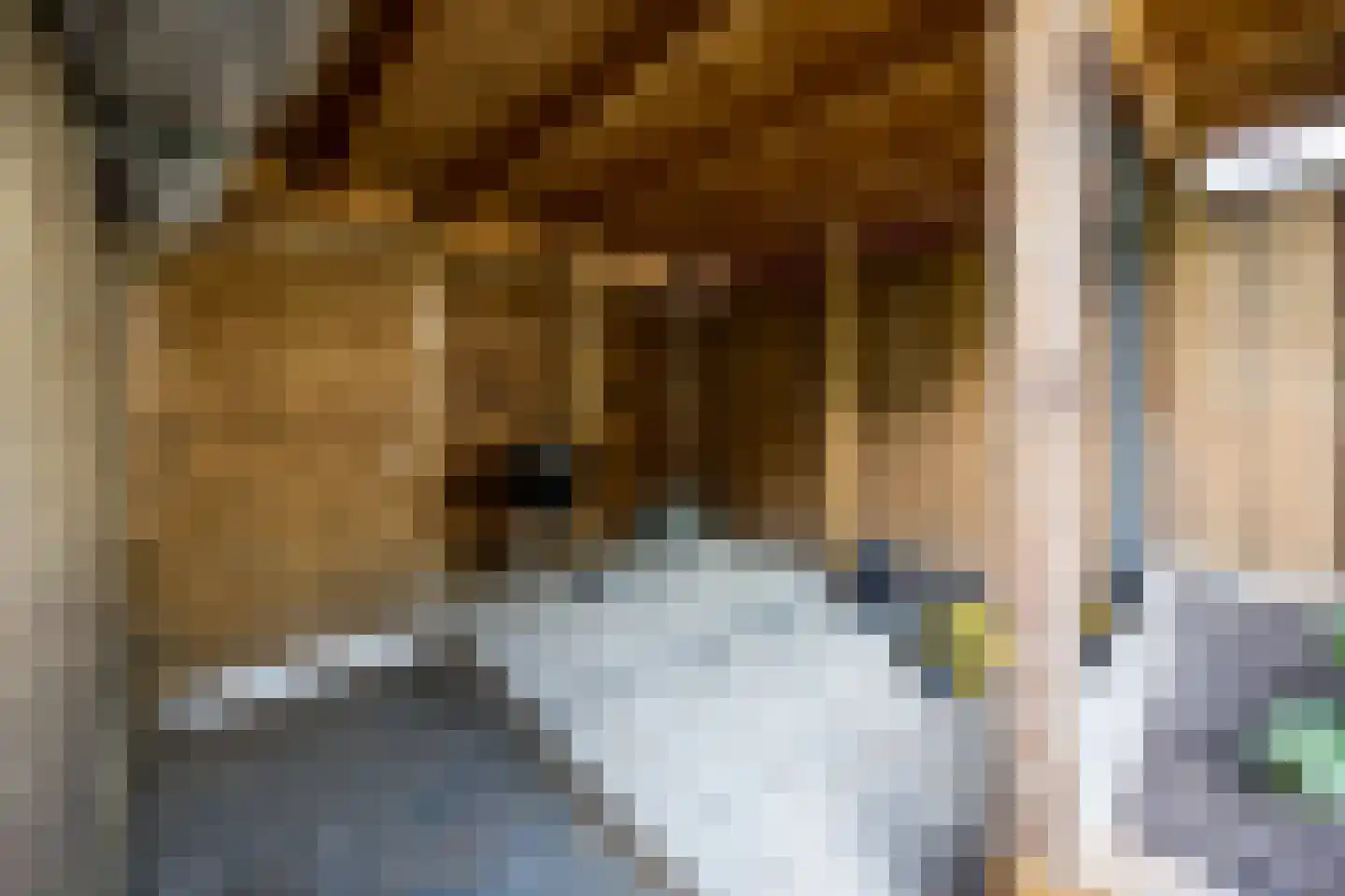 Laan der Vrijheid 92 Bergschenhoek thumbnail 29