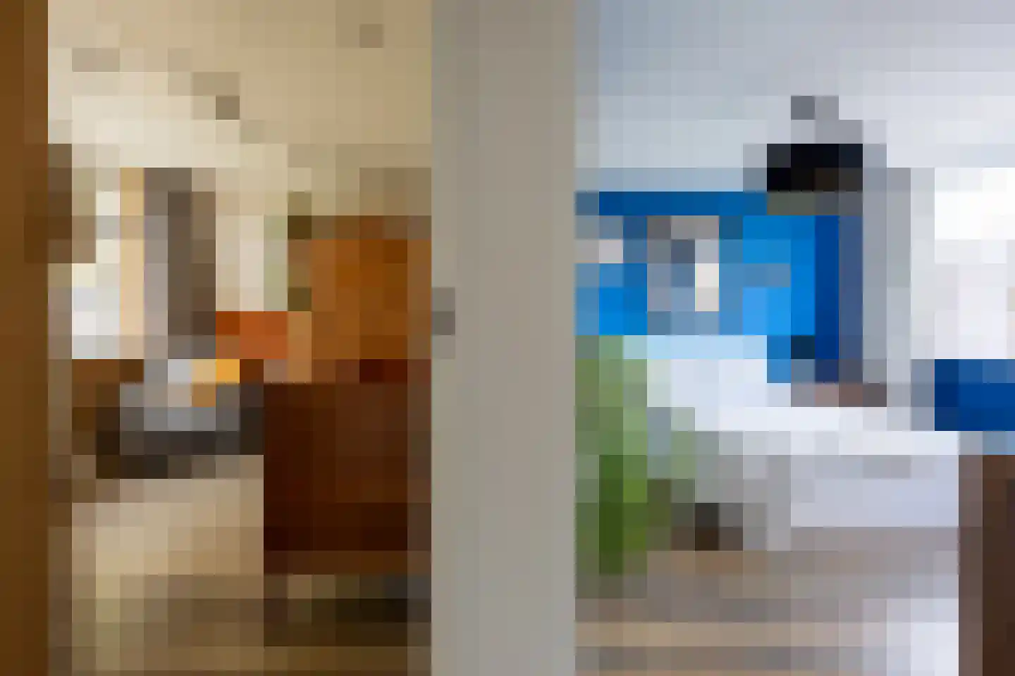 Laan der Vrijheid 92 Bergschenhoek thumbnail 31