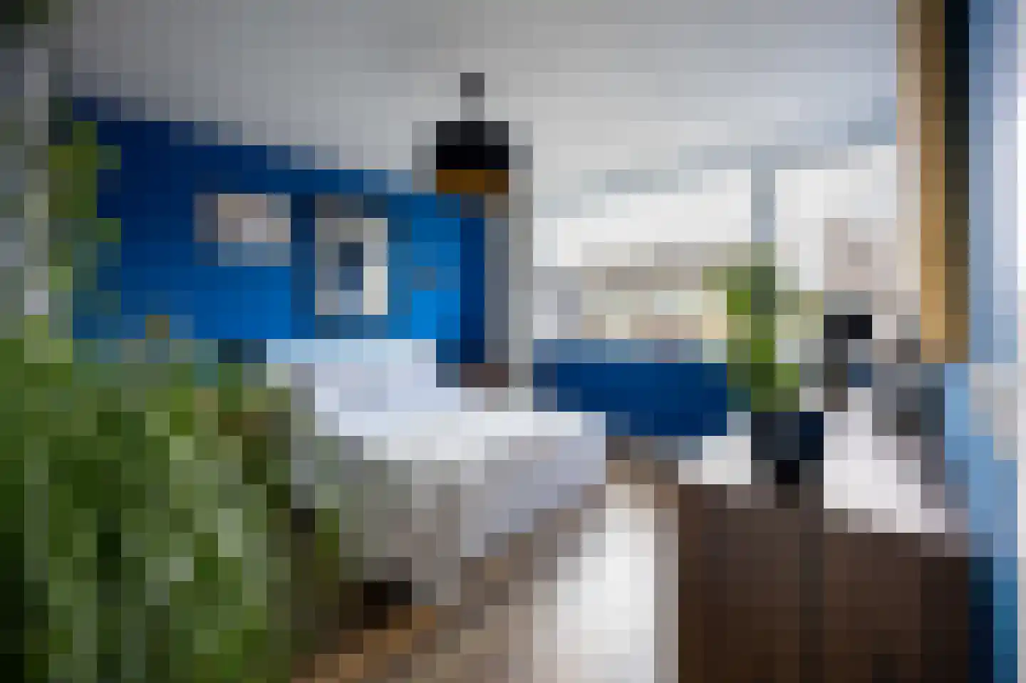 Laan der Vrijheid 92 Bergschenhoek thumbnail 37
