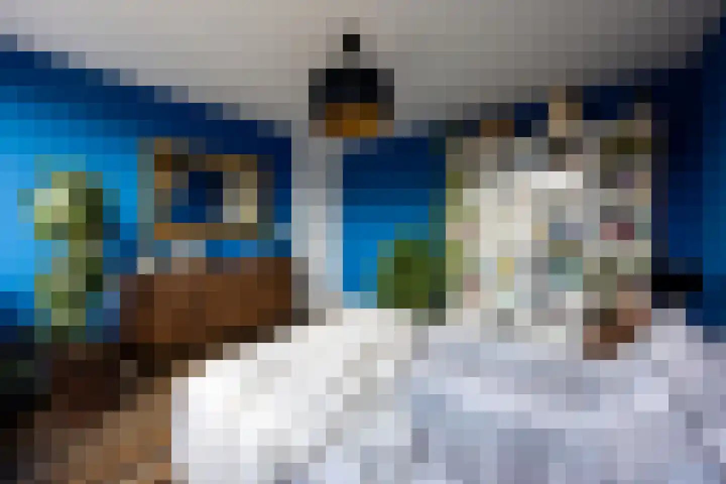 Laan der Vrijheid 92 Bergschenhoek thumbnail 39
