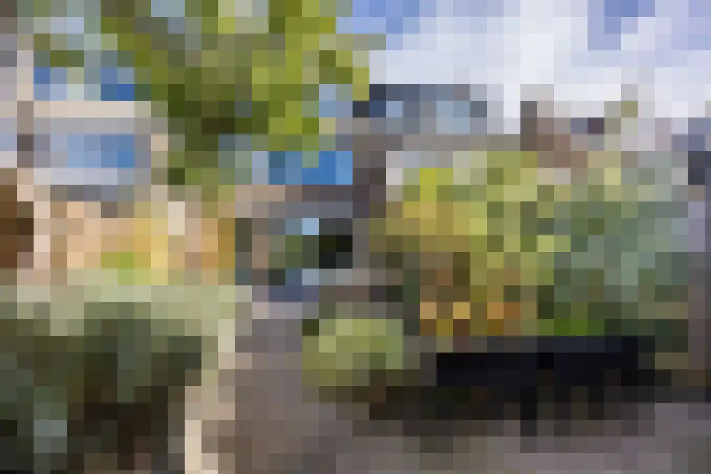 Laan der Vrijheid 92 Bergschenhoek thumbnail 4