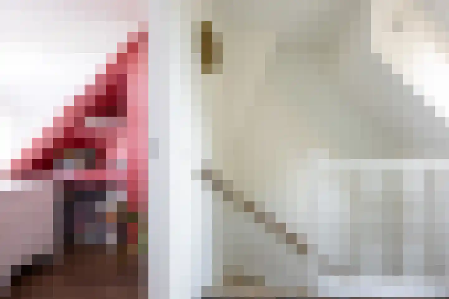 Laan der Vrijheid 92 Bergschenhoek thumbnail 43
