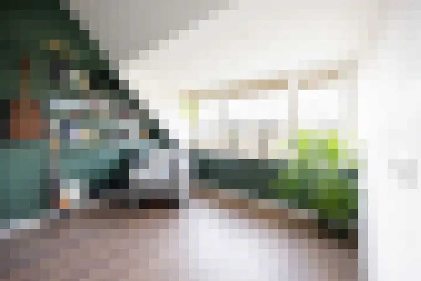 Laan der Vrijheid 92 Bergschenhoek thumbnail 47