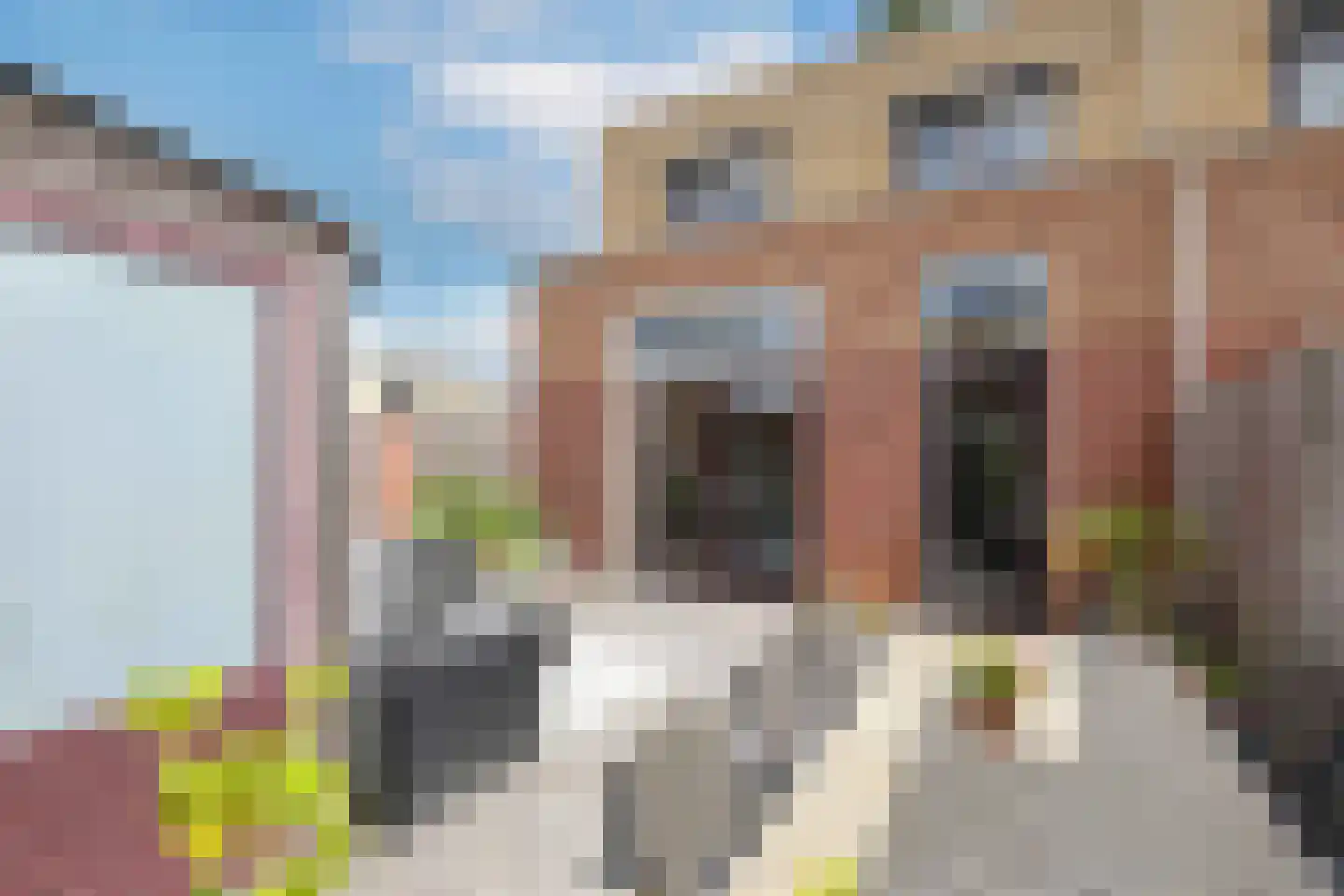 Laan der Winden 11 Amersfoort thumbnail 15