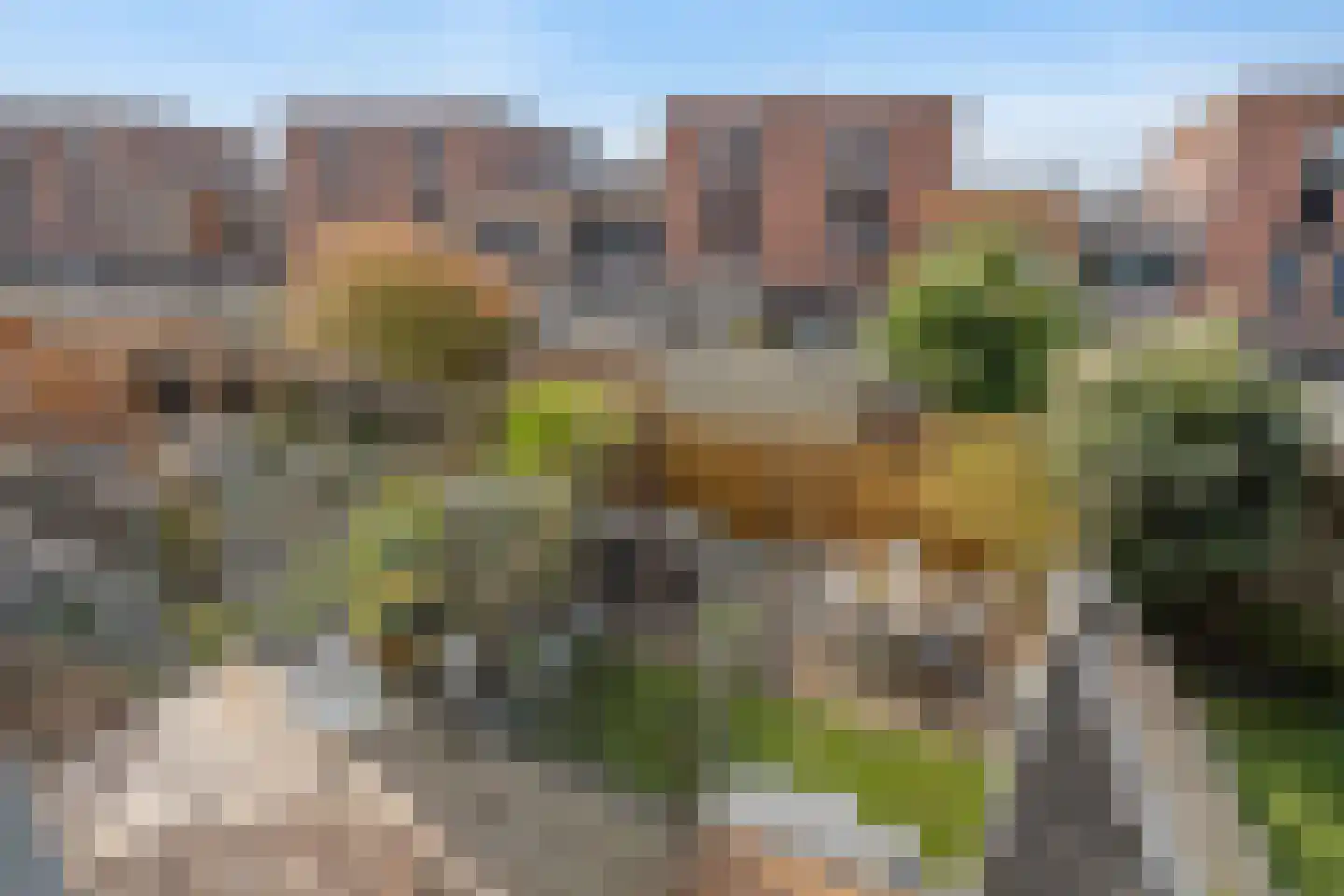 Laan der Zeven Linden 103 Delfgauw thumbnail 15