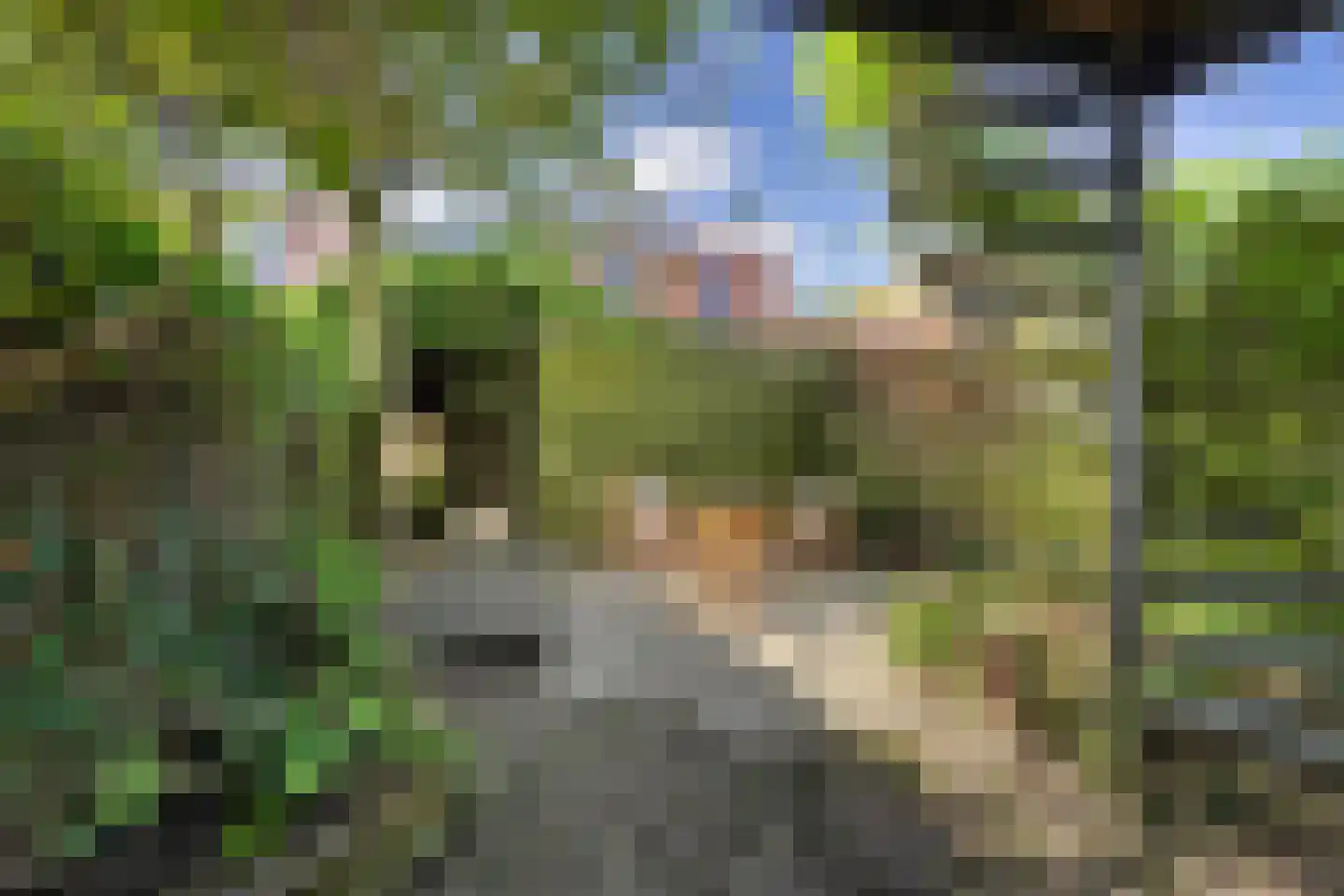 Laan der Zeven Linden 115 Delfgauw thumbnail 11
