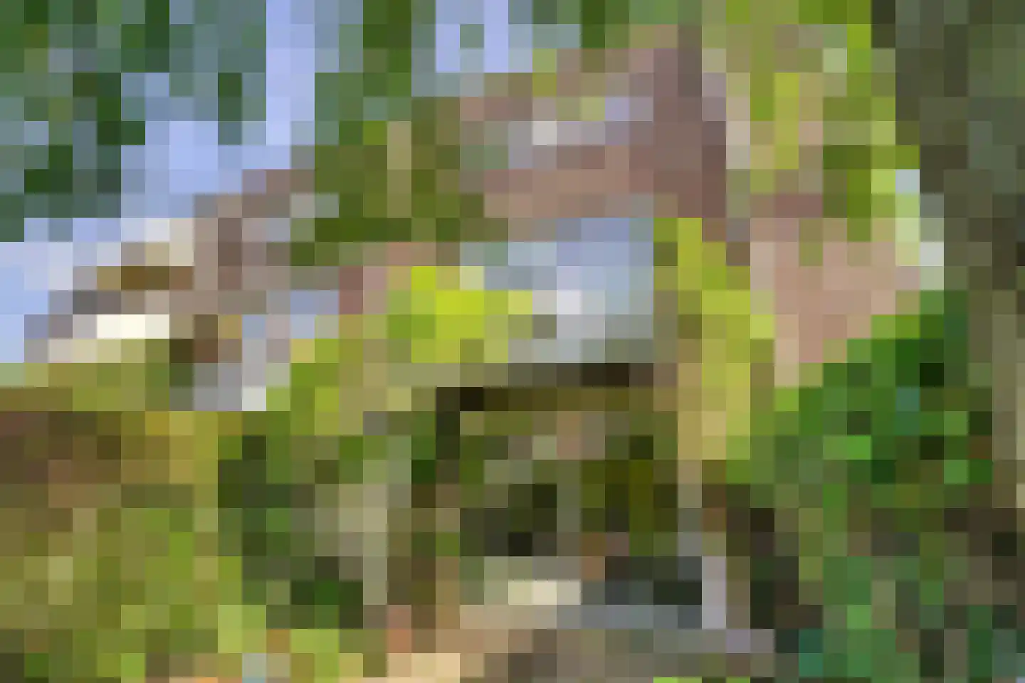 Laan der Zeven Linden 115 Delfgauw thumbnail 13