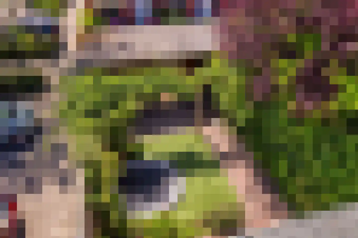 Laan der Zeven Linden 21 Delfgauw thumbnail 34