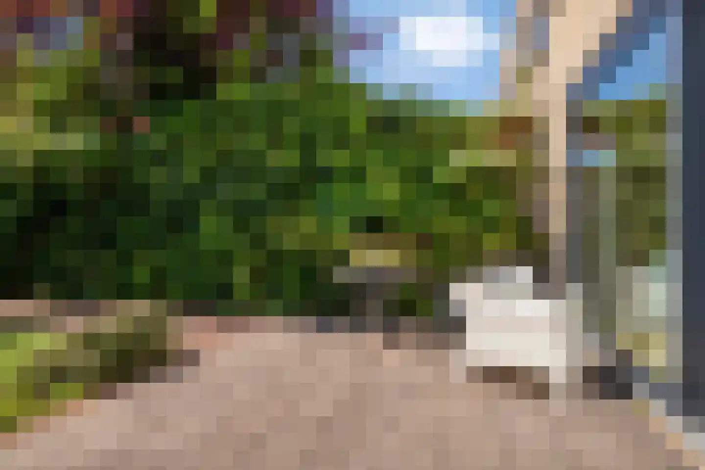Laan der Zeven Linden 21 Delfgauw thumbnail 35