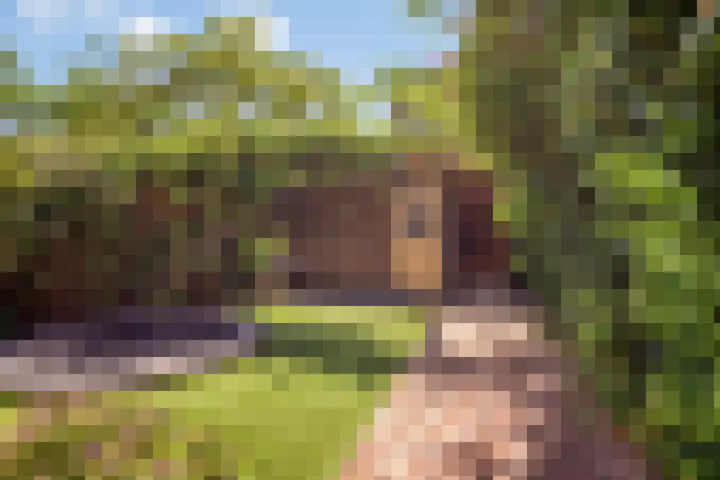 Laan der Zeven Linden 21 Delfgauw thumbnail 36