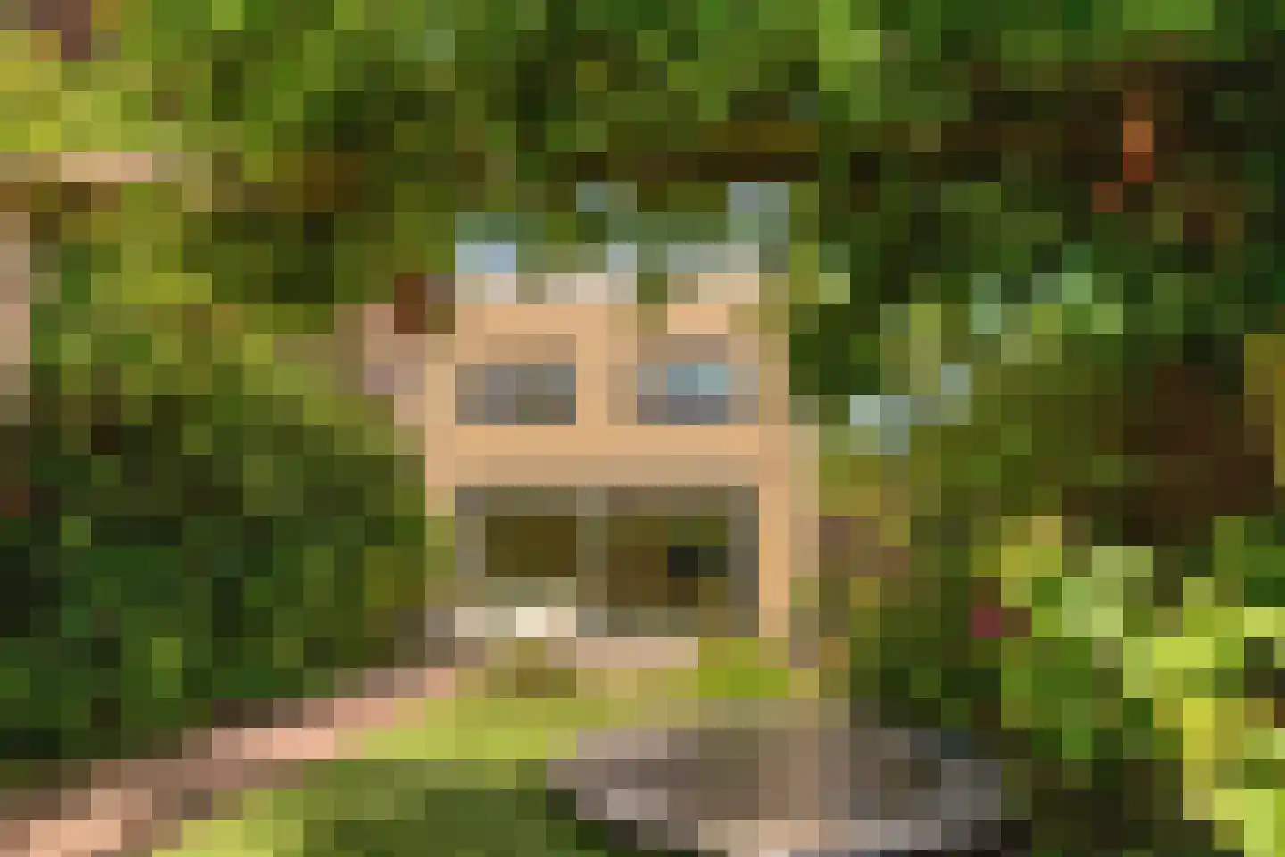 Laan der Zeven Linden 21 Delfgauw thumbnail 37