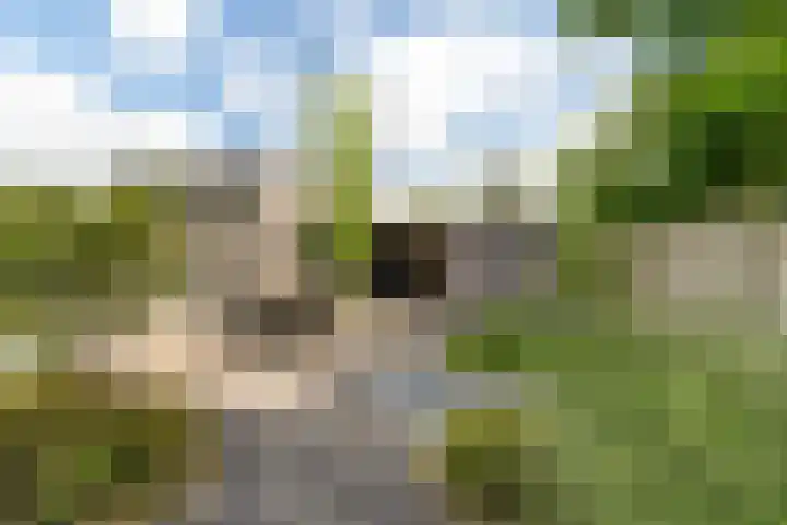 Laan der Zeven Linden 48 Delfgauw thumbnail 11