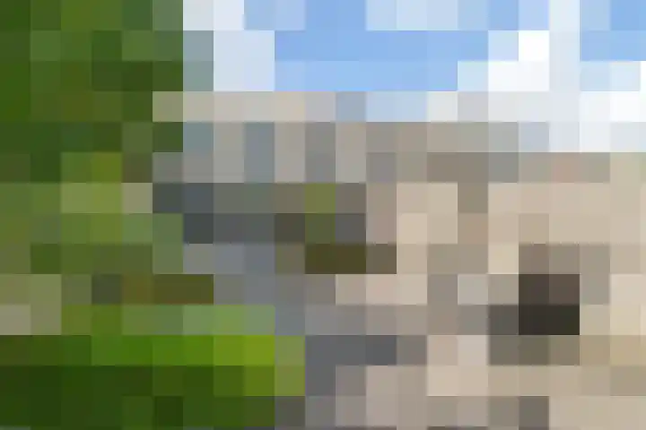 Laan der Zeven Linden 48 Delfgauw thumbnail 12