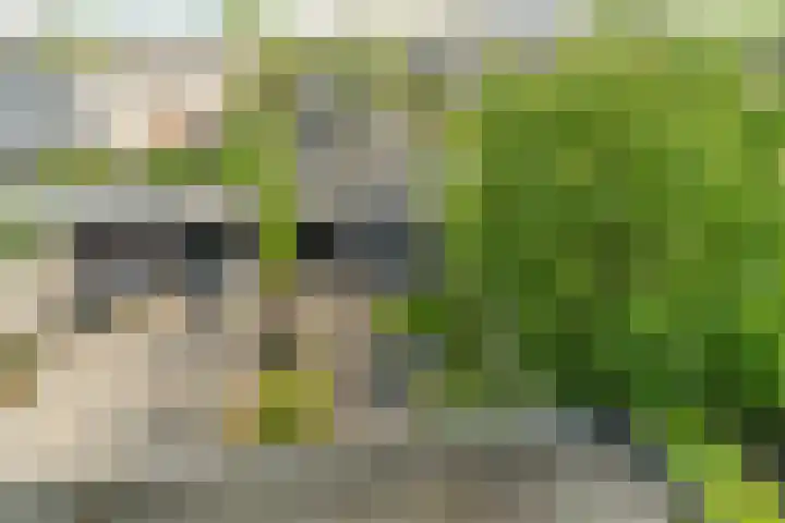Laan der Zeven Linden 48 Delfgauw thumbnail 35
