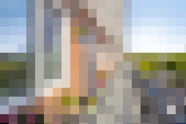 Laan der Zeven Linden 89 Delfgauw thumbnail 11